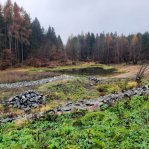 druchema_20221129_104137.jpg