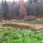 druchema_20221129_104140.jpg