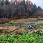 druchema_20221129_104142.jpg