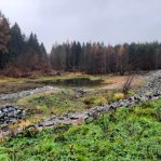druchema_20221129_104145.jpg