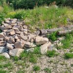 brezna_20230605_091540.jpg